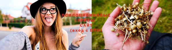 ECSTASY Балахна