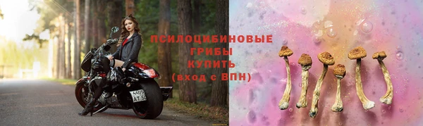 ECSTASY Балахна